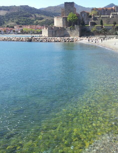 CHARME a 20 m de la plage centre village Collioure Extérieur photo