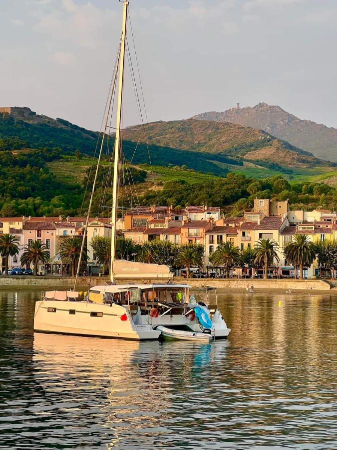 CHARME a 20 m de la plage centre village Collioure Extérieur photo