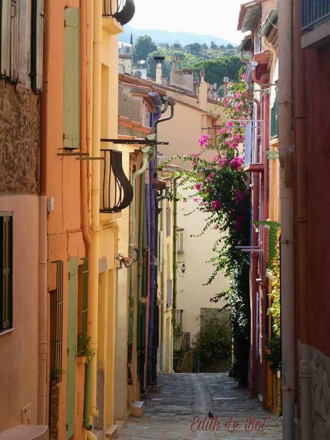 CHARME a 20 m de la plage centre village Collioure Extérieur photo